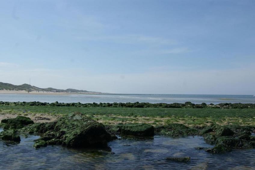 Villa Jean - foto 31