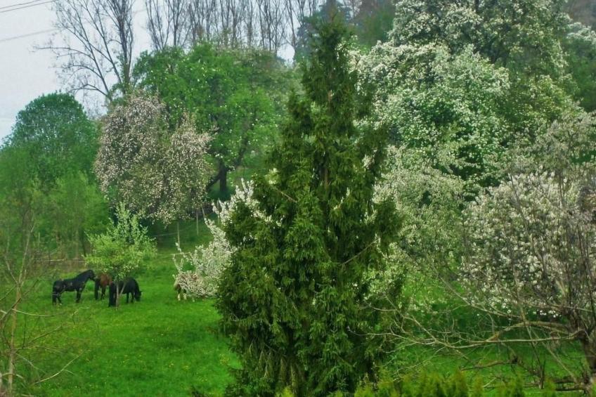 Villa Romantica - foto 17