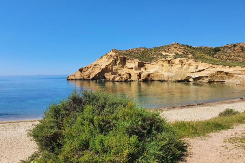 Duplex Vera Coast - foto 40