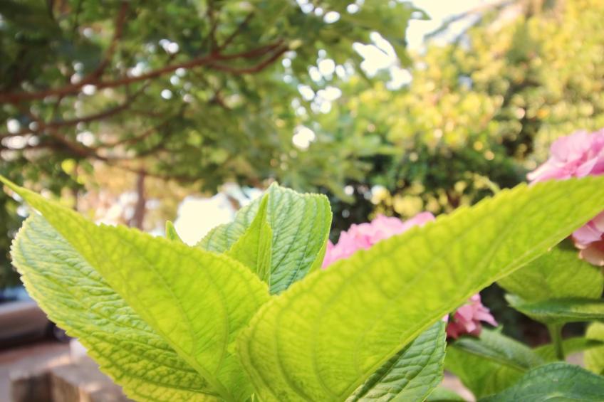 Apartment Kim- Two Bedroom Apartment with Terrace and Sea View - foto 13