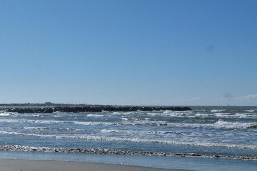 CAP CAMARGUE B N°28 - 2P4 - foto 22