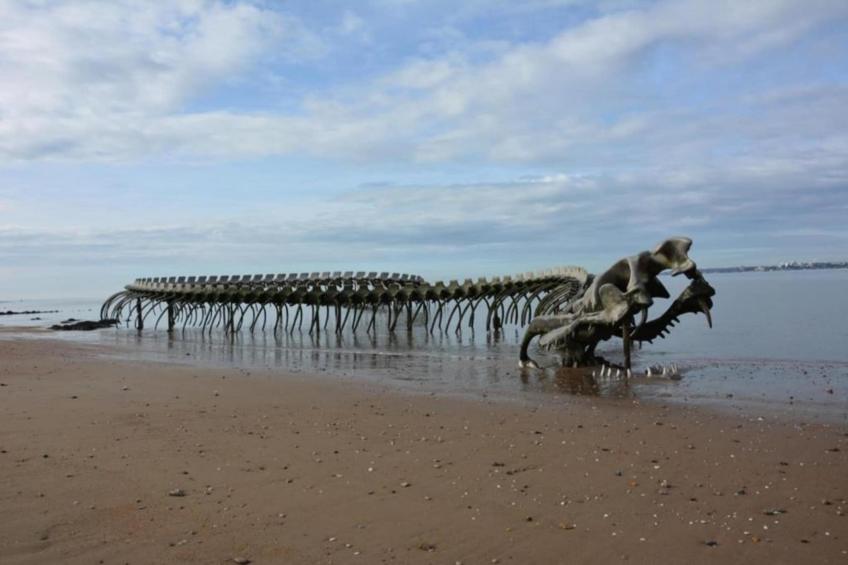 Le Domaine de L'Océan - foto 37