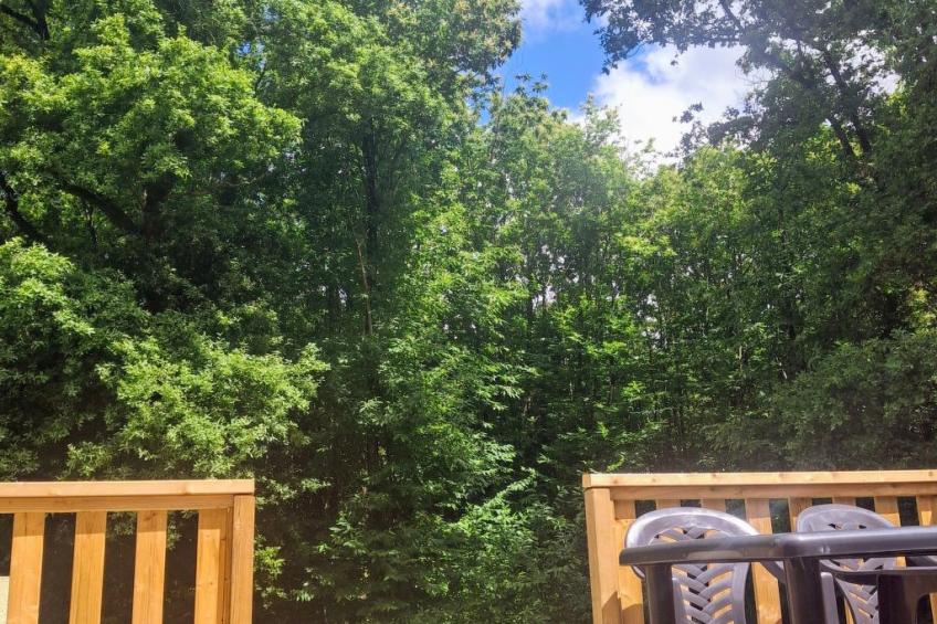 Hübsches Tiny Cottage mit Waldblick im Feriendorf - foto 2