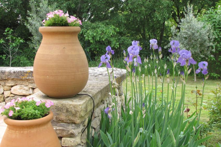 "Eutherpes Haus" - foto 49