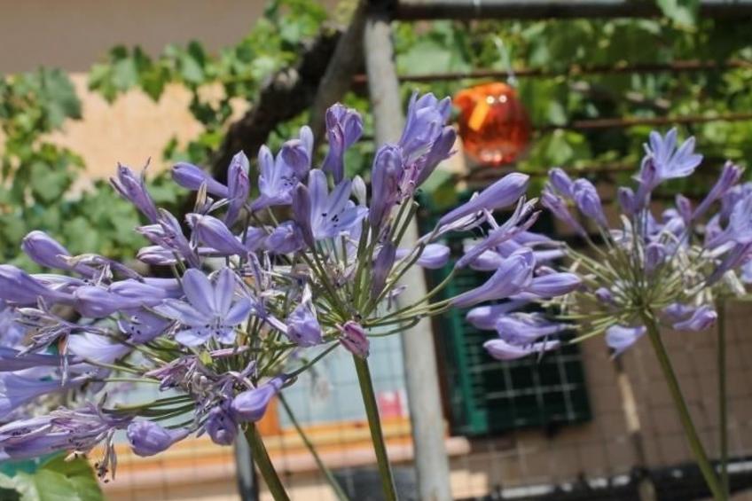 Das Landgut "Casina della Sughera". - foto 2