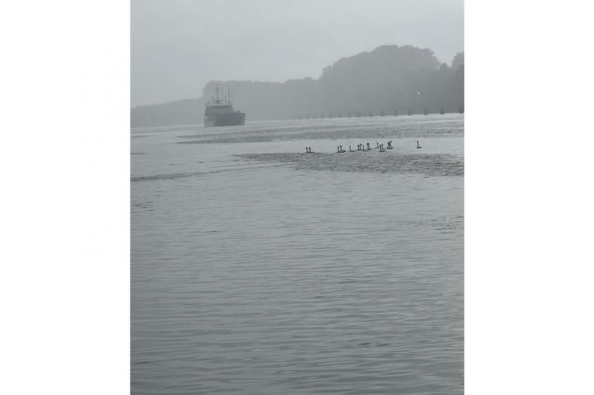 213343 - foto 22