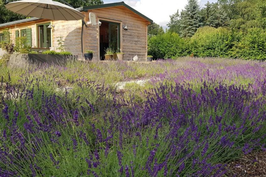 in Atzenhain mit Großer Terrasse - foto 10