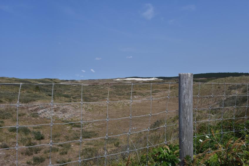 Parel aan de Duinen 6p - foto 25