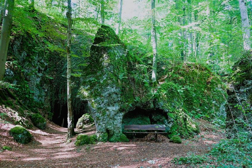 Ferienhaus Birresborn - foto 29