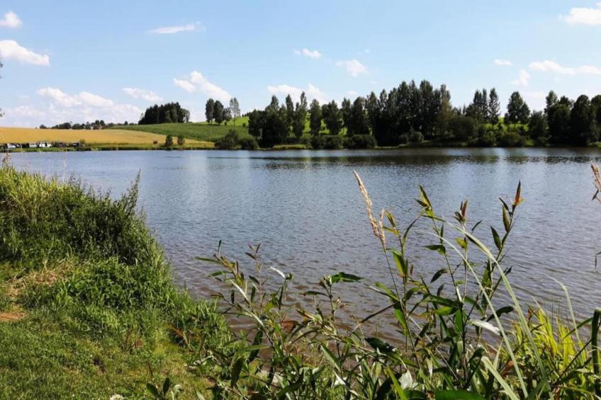 Thüringer Ferienhäuschen - foto 38