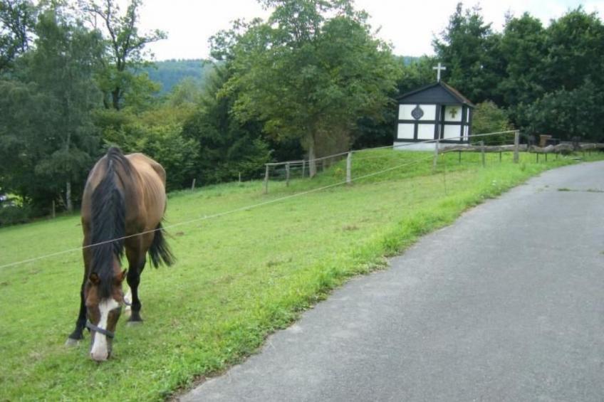 Rübezahl am Diemelse - foto 19
