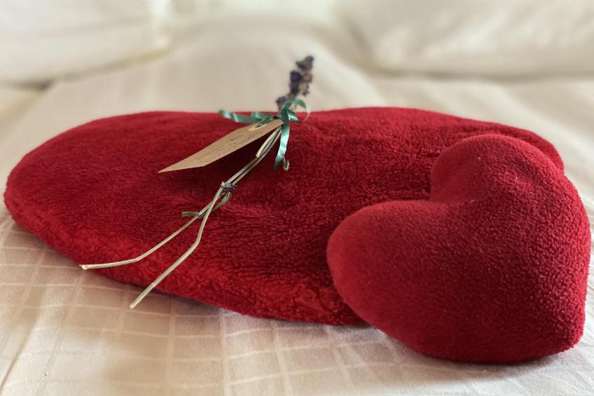 De Meerenhof - foto 28