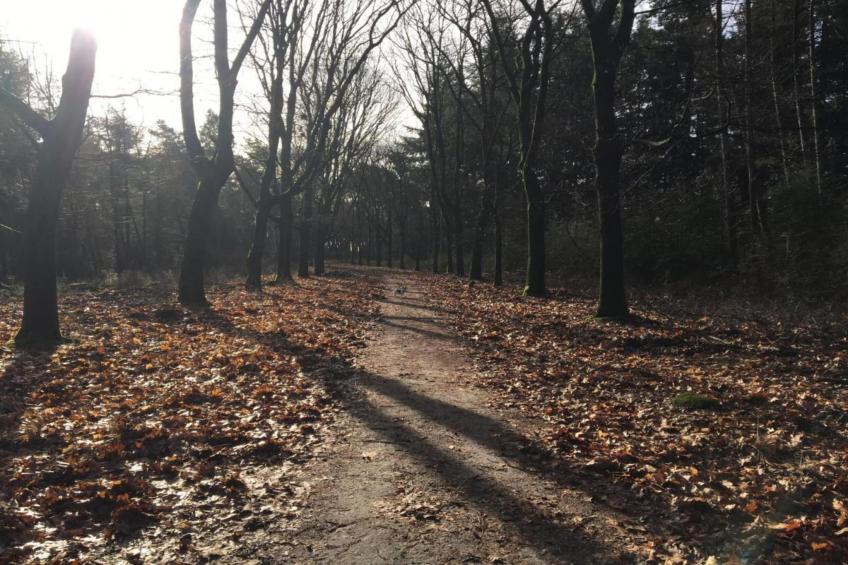 Dorpswoning Het Tolhuis - foto 40