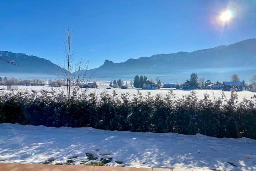 Sonnenblume - foto 20