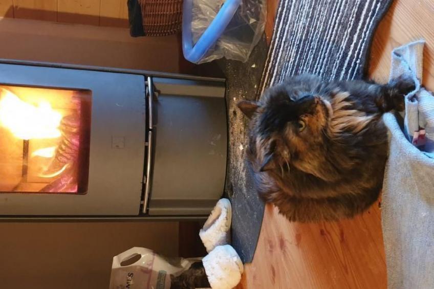 Berghütte mit Wasserblick - foto 27