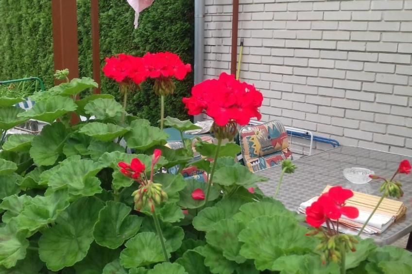 Klimatisiertes Ferienhaus in Bükfürdö mit Garten - foto 2