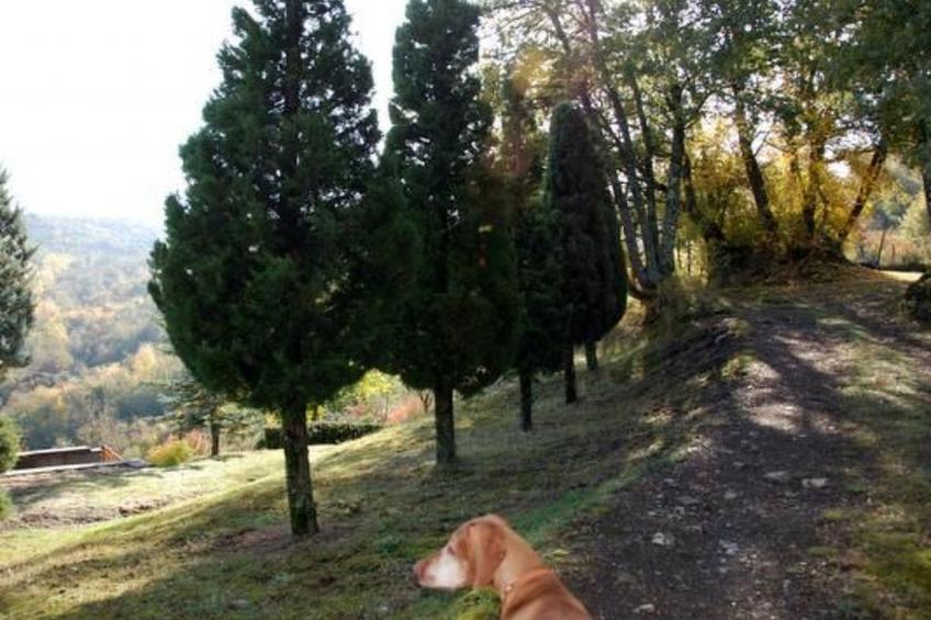 Villa Chimera mit Pool - foto 5