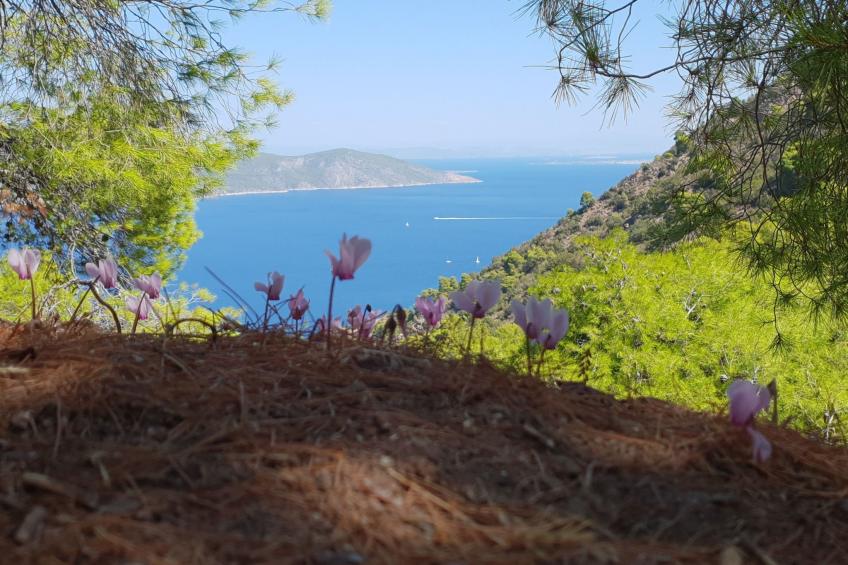 "Villa Newlands" - Pool, Meer und Inseln - foto 29