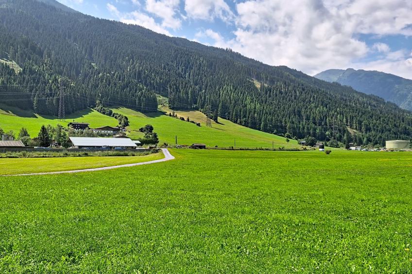 Mitteregg (MII350) - foto 45