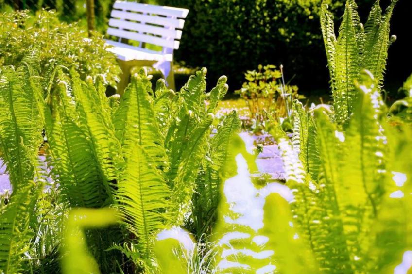 in Storkow mit Schönem Garten - foto 29