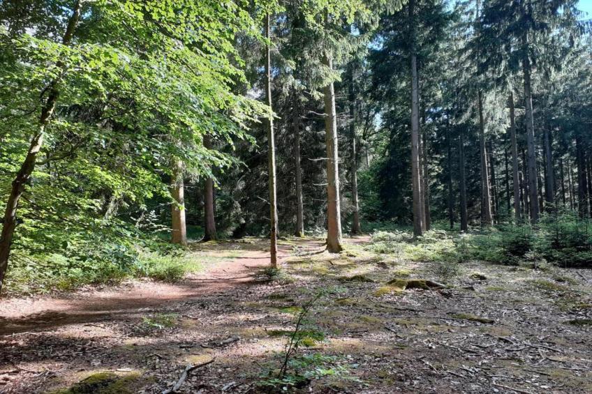 Le Chateau de Balmoral - 34 pers - foto 33