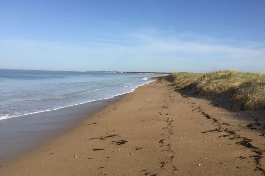 Wohnung mit Meerblick - foto 18