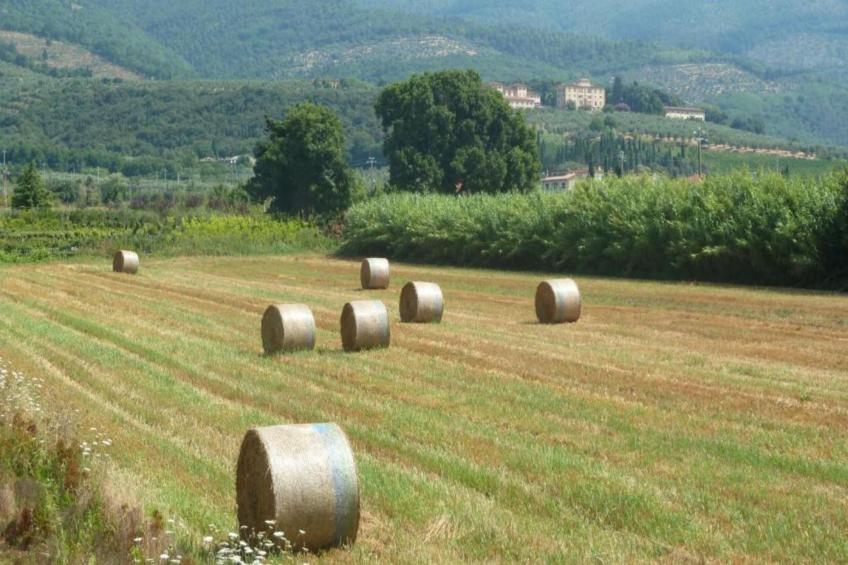 Saliceto Bilocale - foto 25