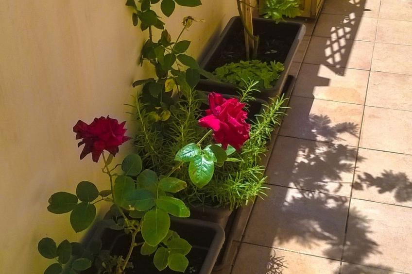 Wohnung an der Scala dei Turchi - foto 33