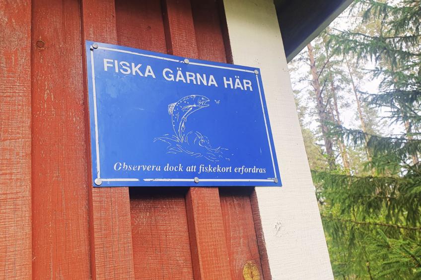 Gemütliches Ferienhaus Angermanland - höga Kusten - foto 49