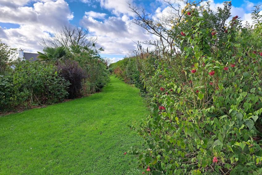 Granitsteinhaus in Guimaëc - foto 21