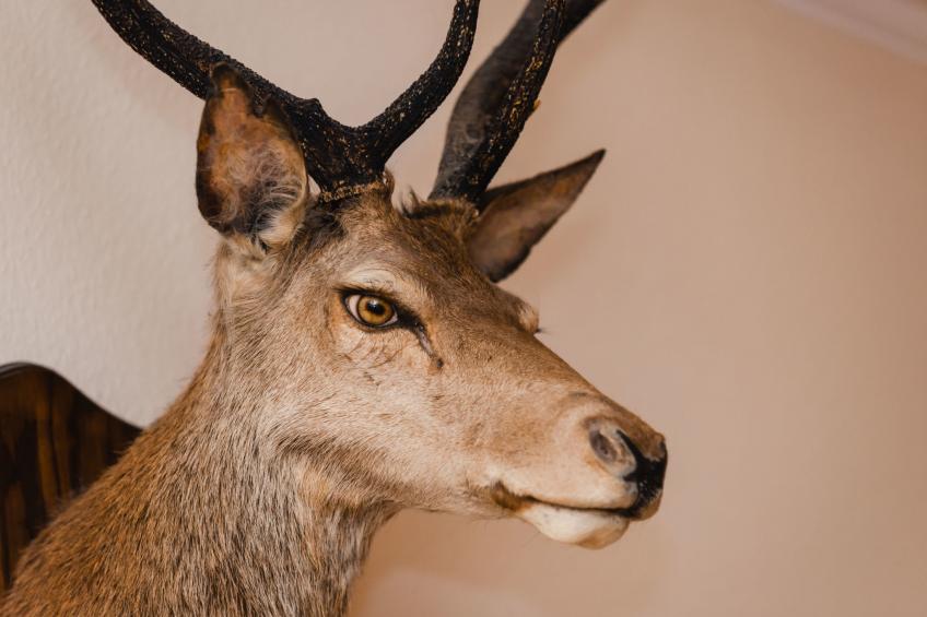 Netherwood - foto 13