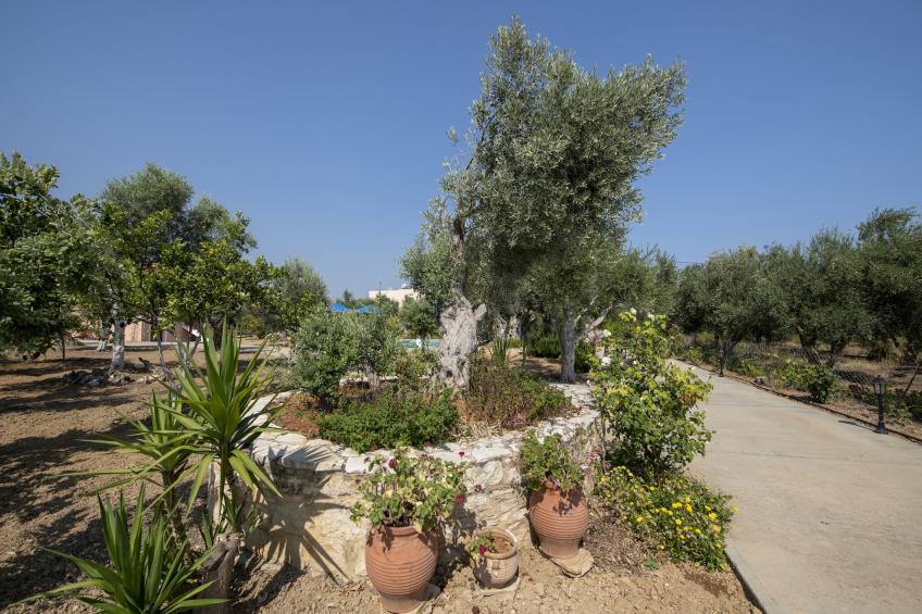 Villa Afroditi - foto 13