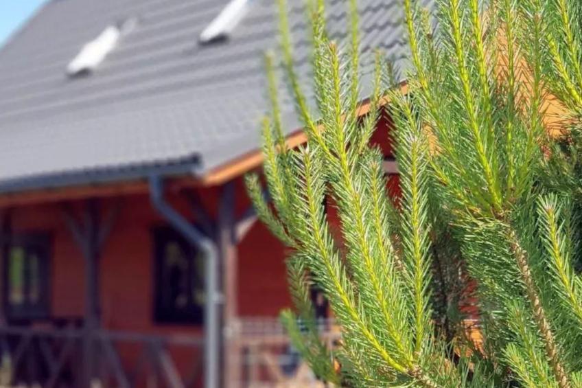 Blue Eco Cottage" Ferienhaus mit Wasserblick - foto 7