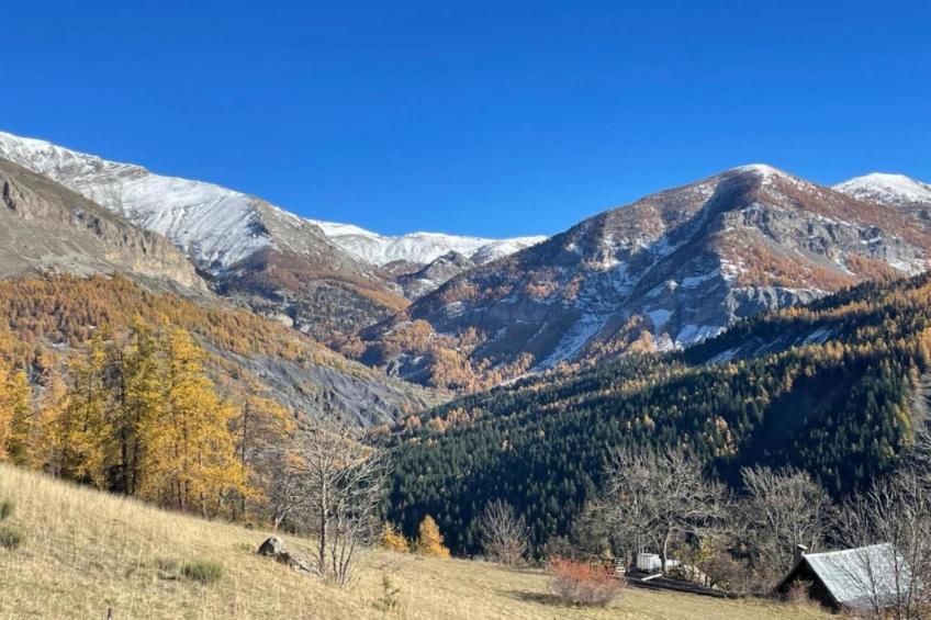 Les Marmottes N°14 - ST4 - foto 35