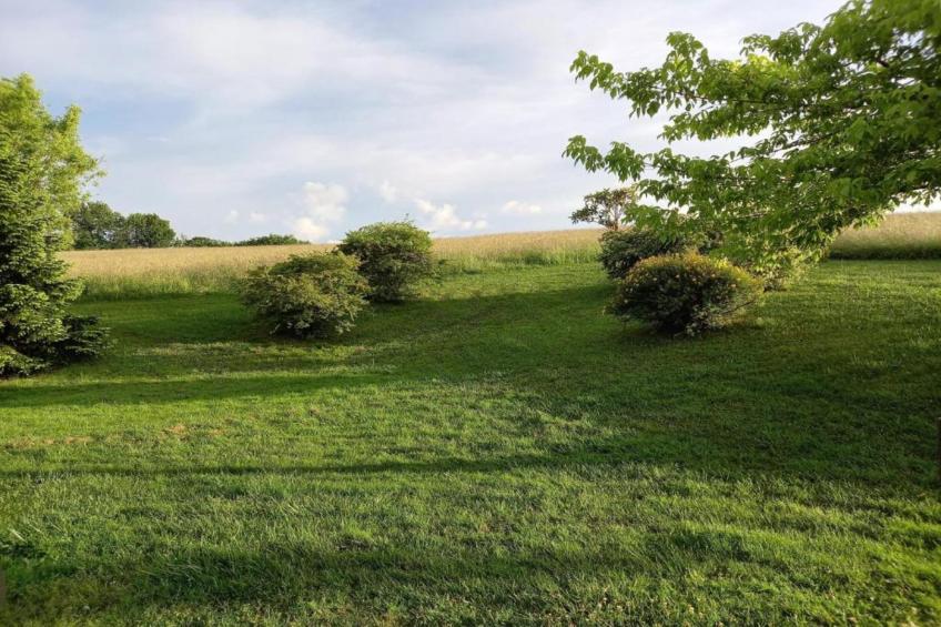 La Coquette - foto 29