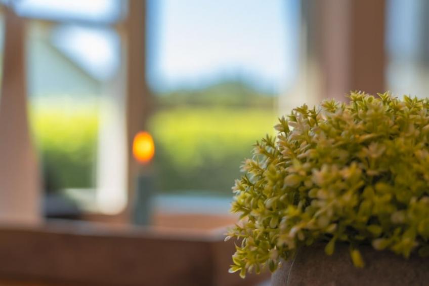 vakantiehuis Nordlys am Dümmer See, Dümmer - foto 22