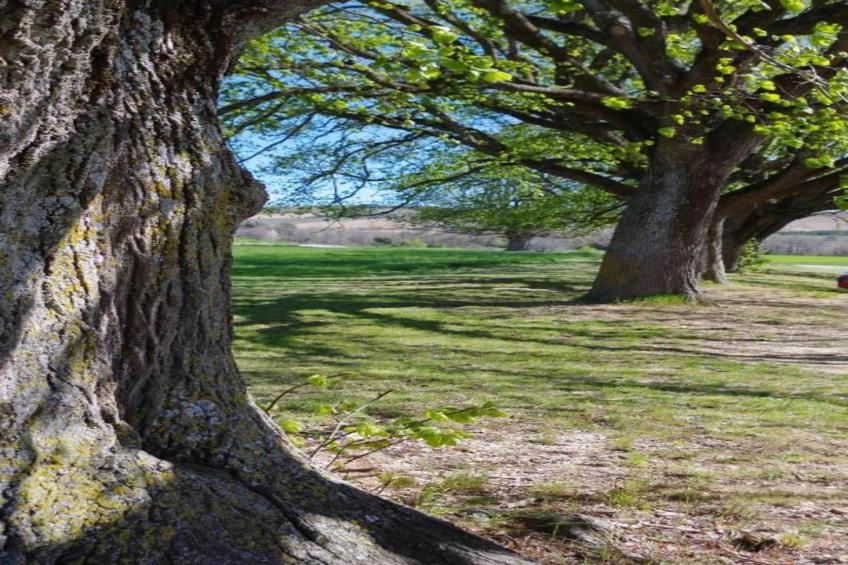 Appartement - LUS-LA CROIX-HAUTE - foto 34