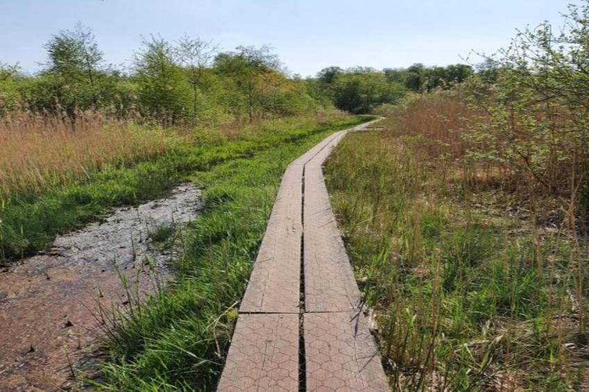 De Mattelier - foto 22