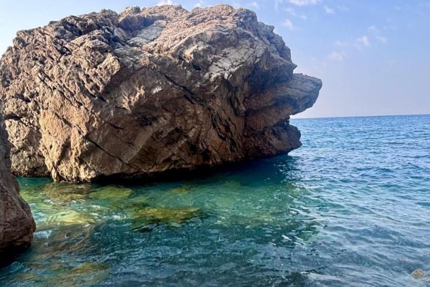 'The Garden - foto 49