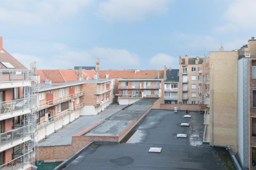 BOREAS - foto 16