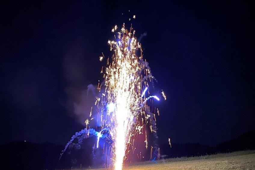 Alpakahof Ferien - foto 27