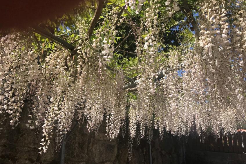 Casas das Olas 7 - Großartige Aussicht, 2 Pools, idealer Ort zum Entspannen und - foto 39