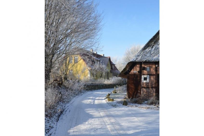 48734 - foto 4