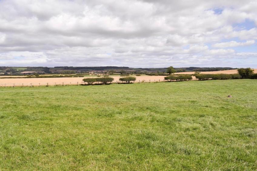 Ingleby Manor - Gun Room - foto 23