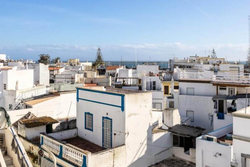 Perdiz Do Mar - Culatra - foto 23