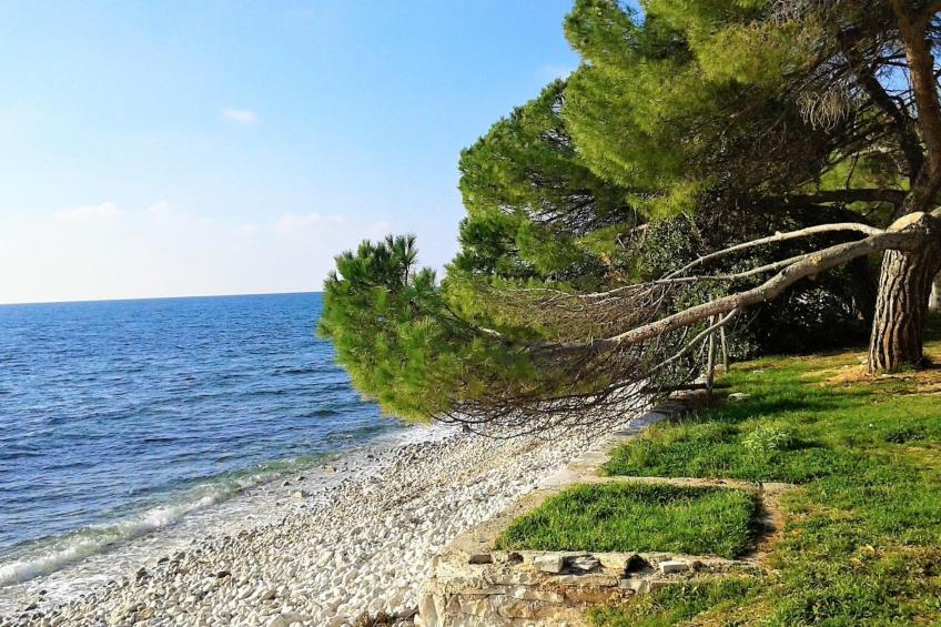 Wohnung Claire Istrien Croazi - foto 29