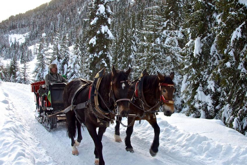 in Strassen mit Privatem Pool - foto 64