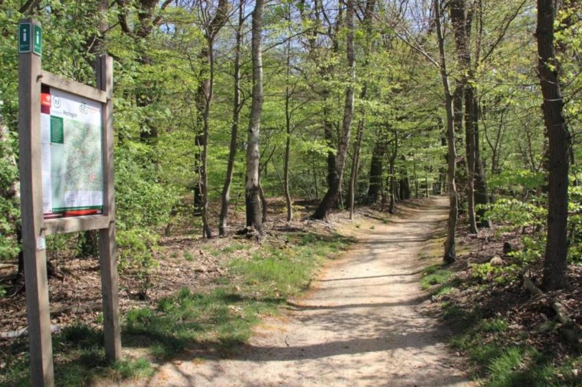 Chaletpark Kuiperberg - foto 30