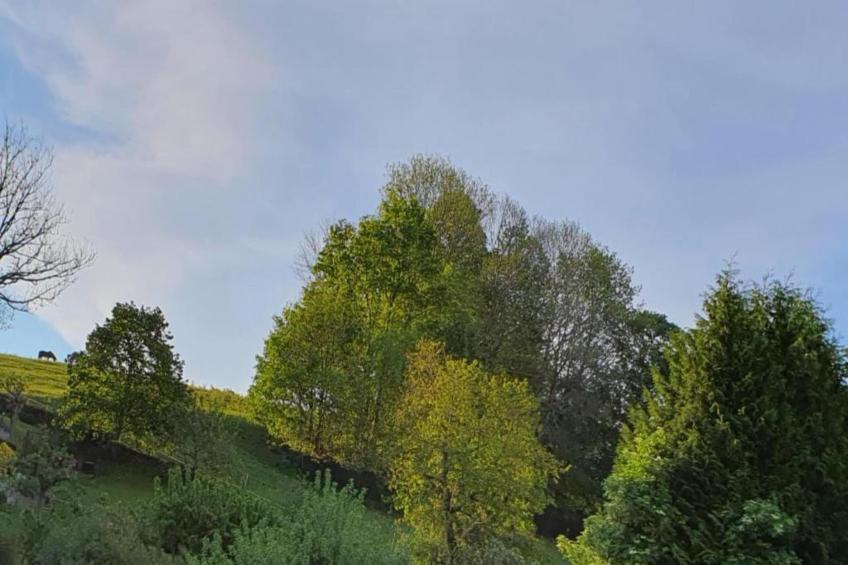 Villa im Erzgebirge - foto 42