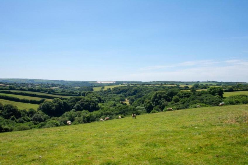 Jubilee Barn Cottage at Bodmin Moor - foto 32